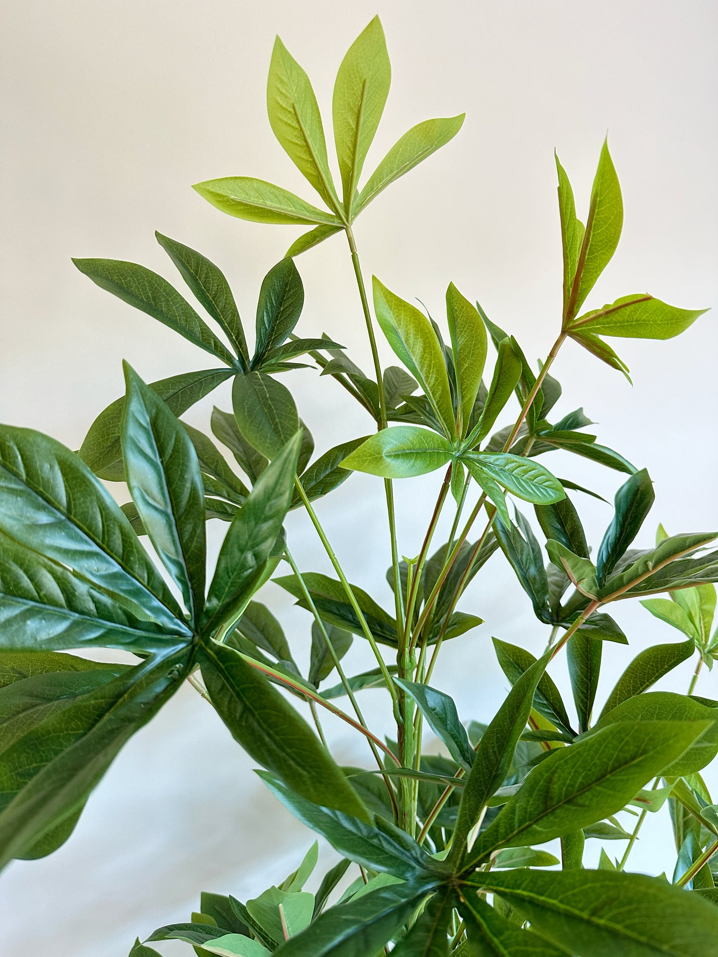 Faux Money Tree