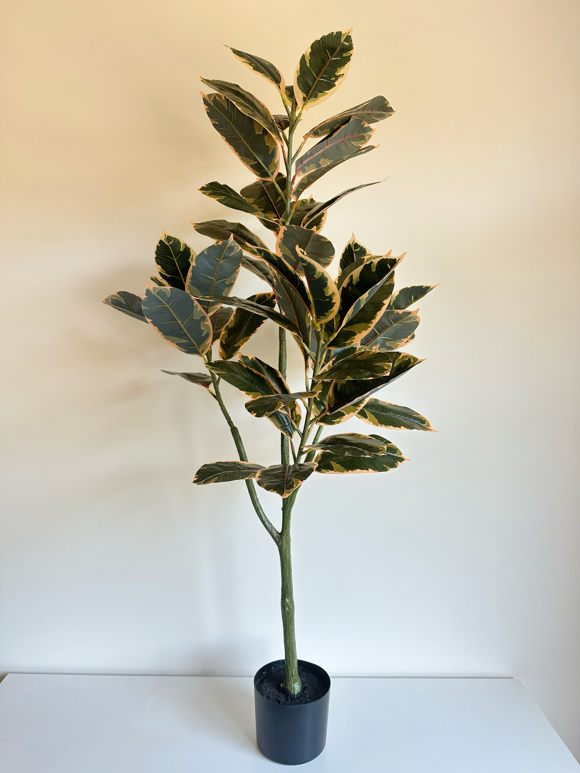 craftopia rubber tree Artificial Rubber Tree in Pot Liner – The Floral Wave