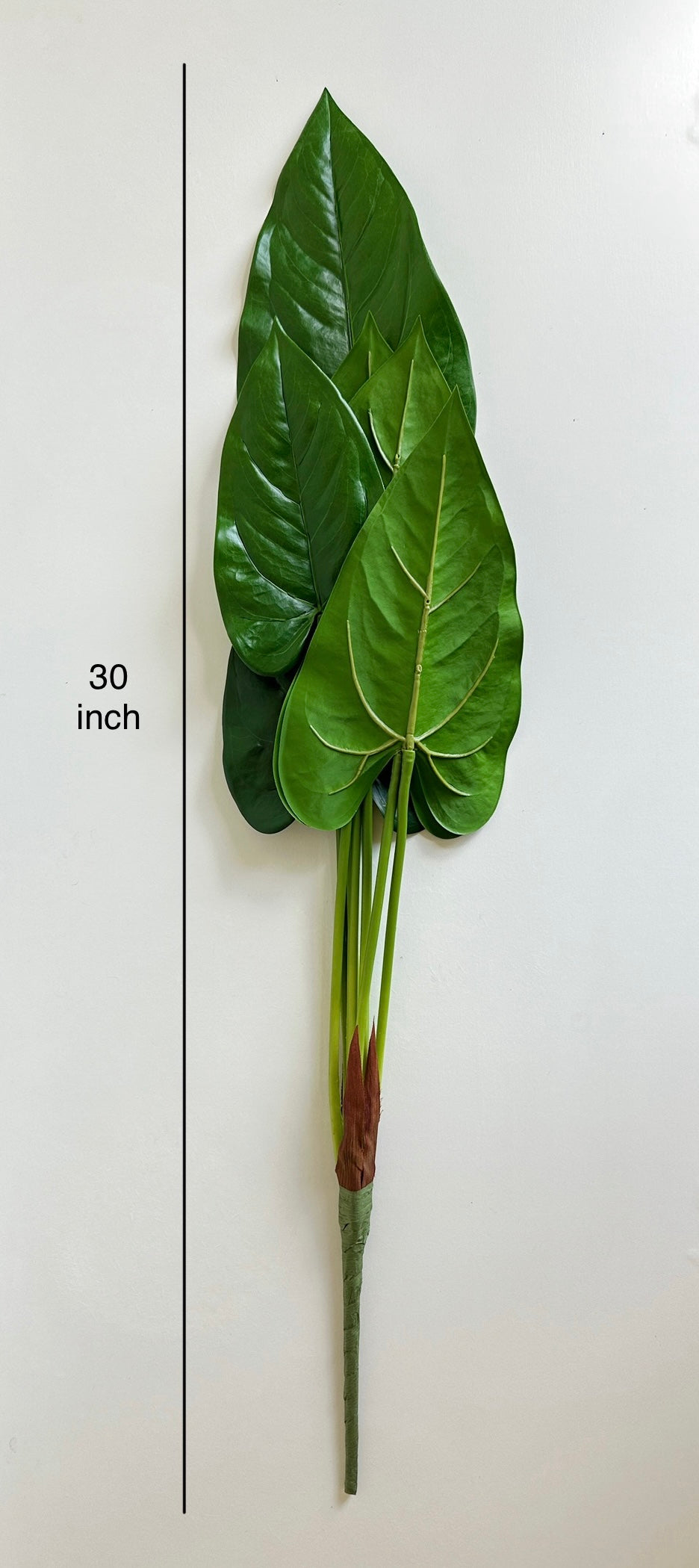 anthurium leaf artificial Anthurium Leaf – The Floral Wave