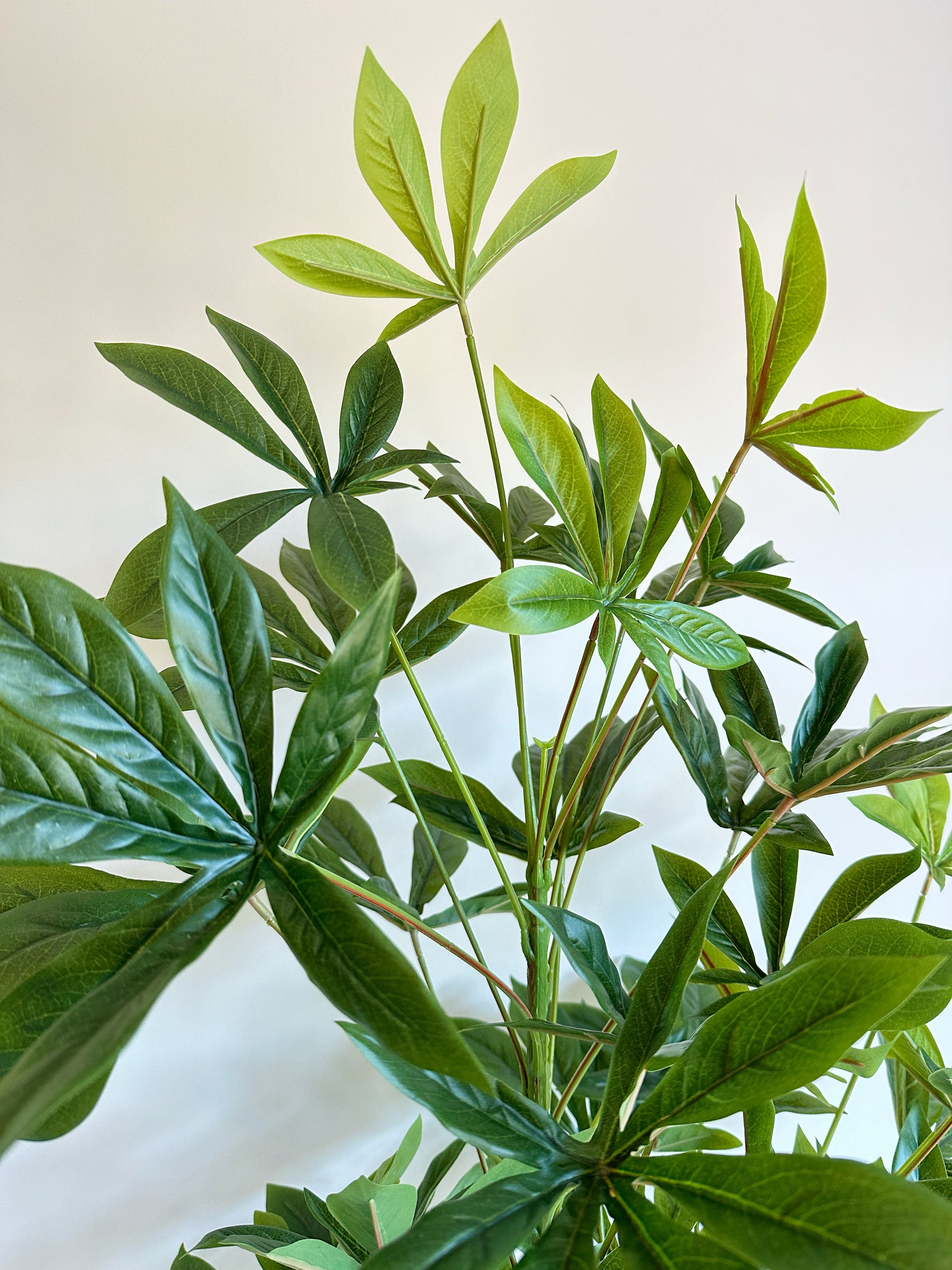 artificial money tree Faux Money Tree – The Floral Wave