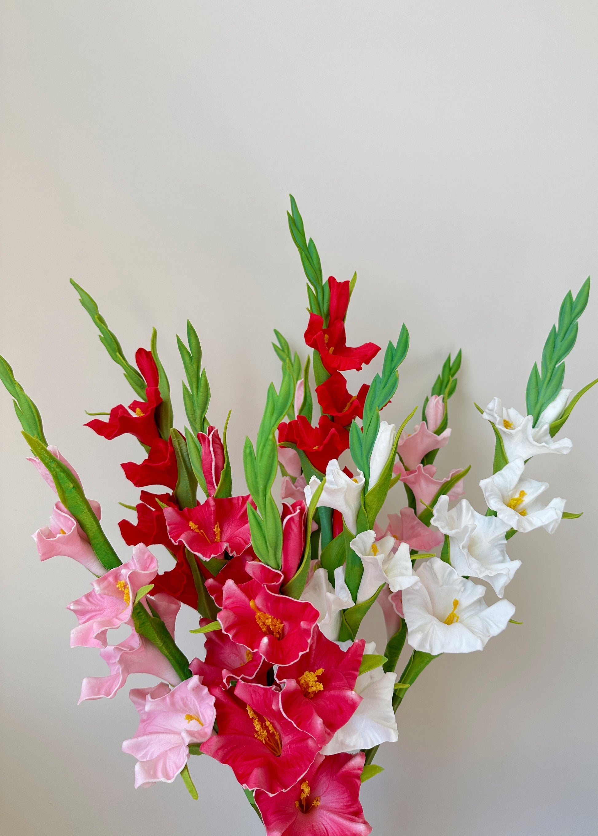 Gladiolus Flower (Sword Lily)