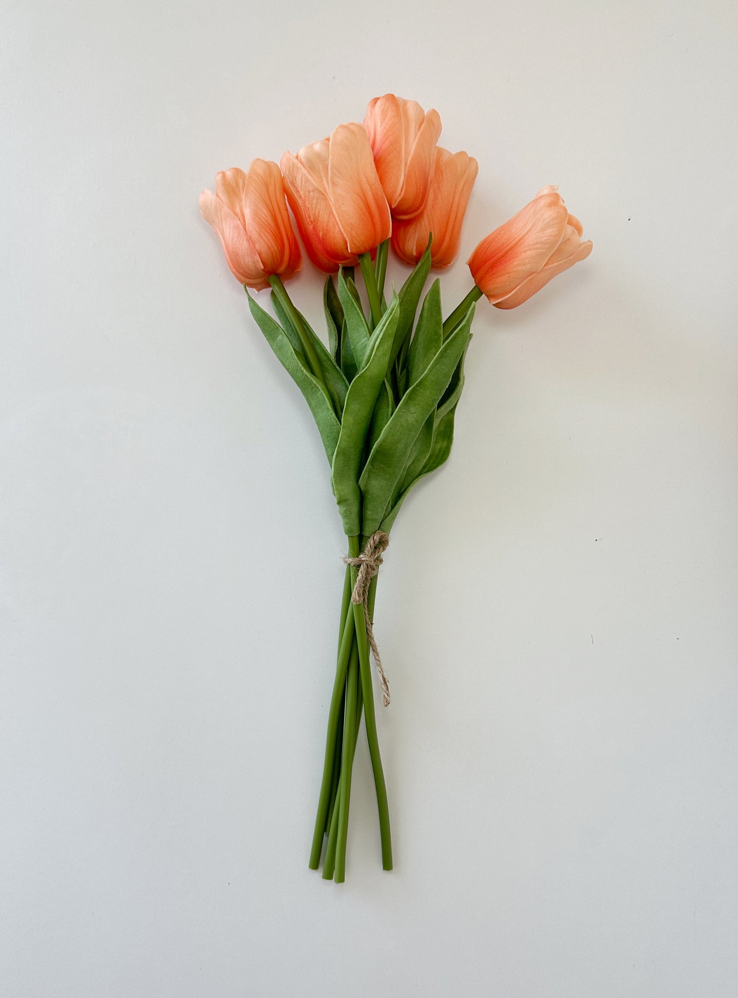 Wavy Petal Tulip, ruffled, curving petals