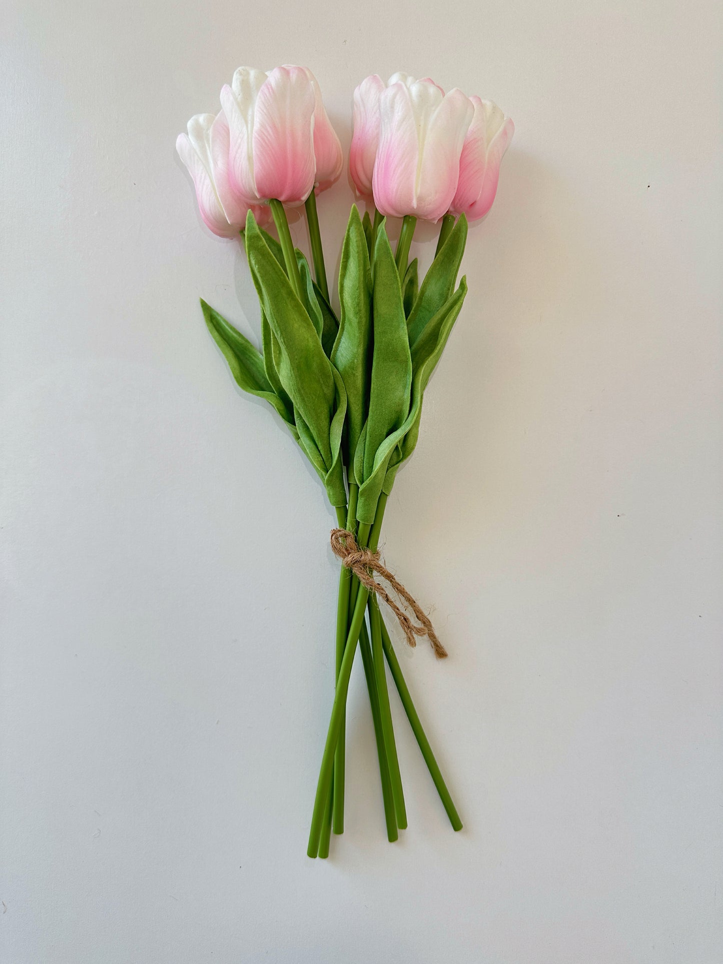 Wavy Petal Tulip, ruffled, curving petals