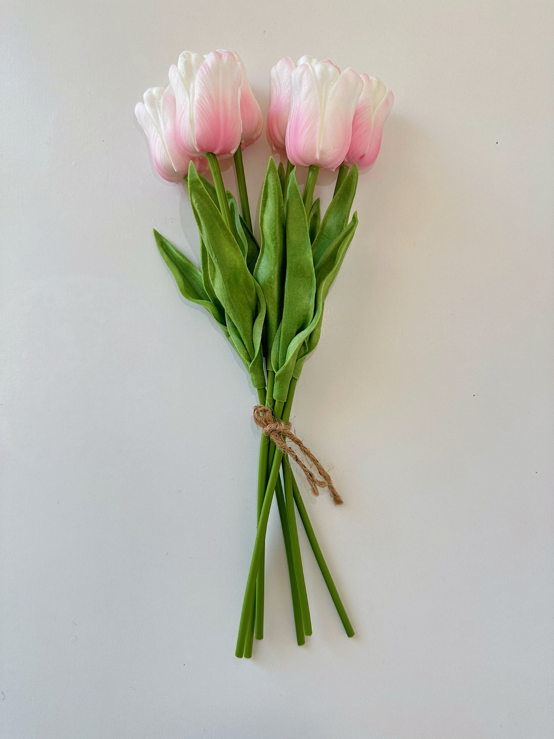 Wavy Petal Tulip, ruffled, curving petals