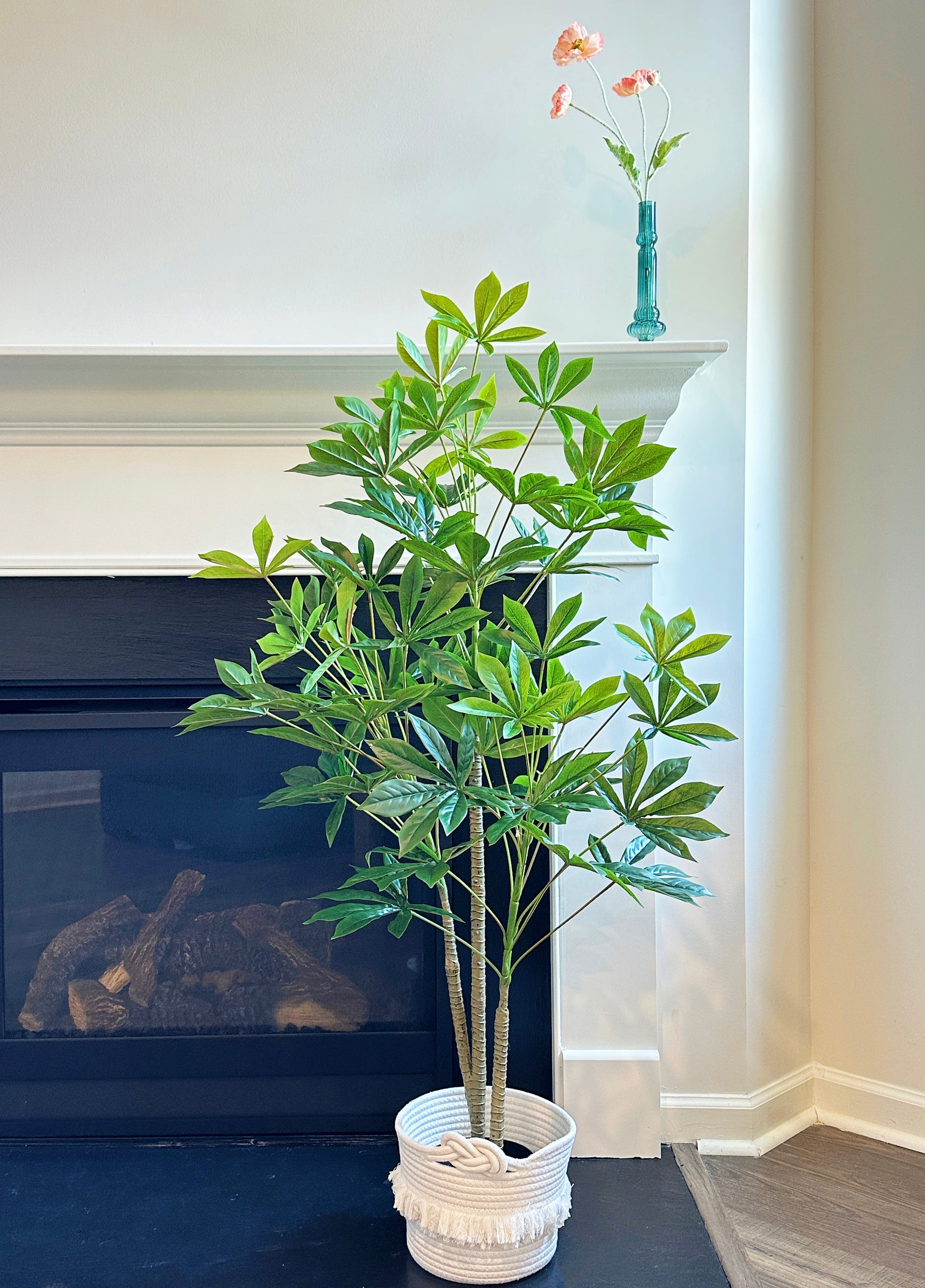 artificial money tree plant Faux Money Tree – The Floral Wave