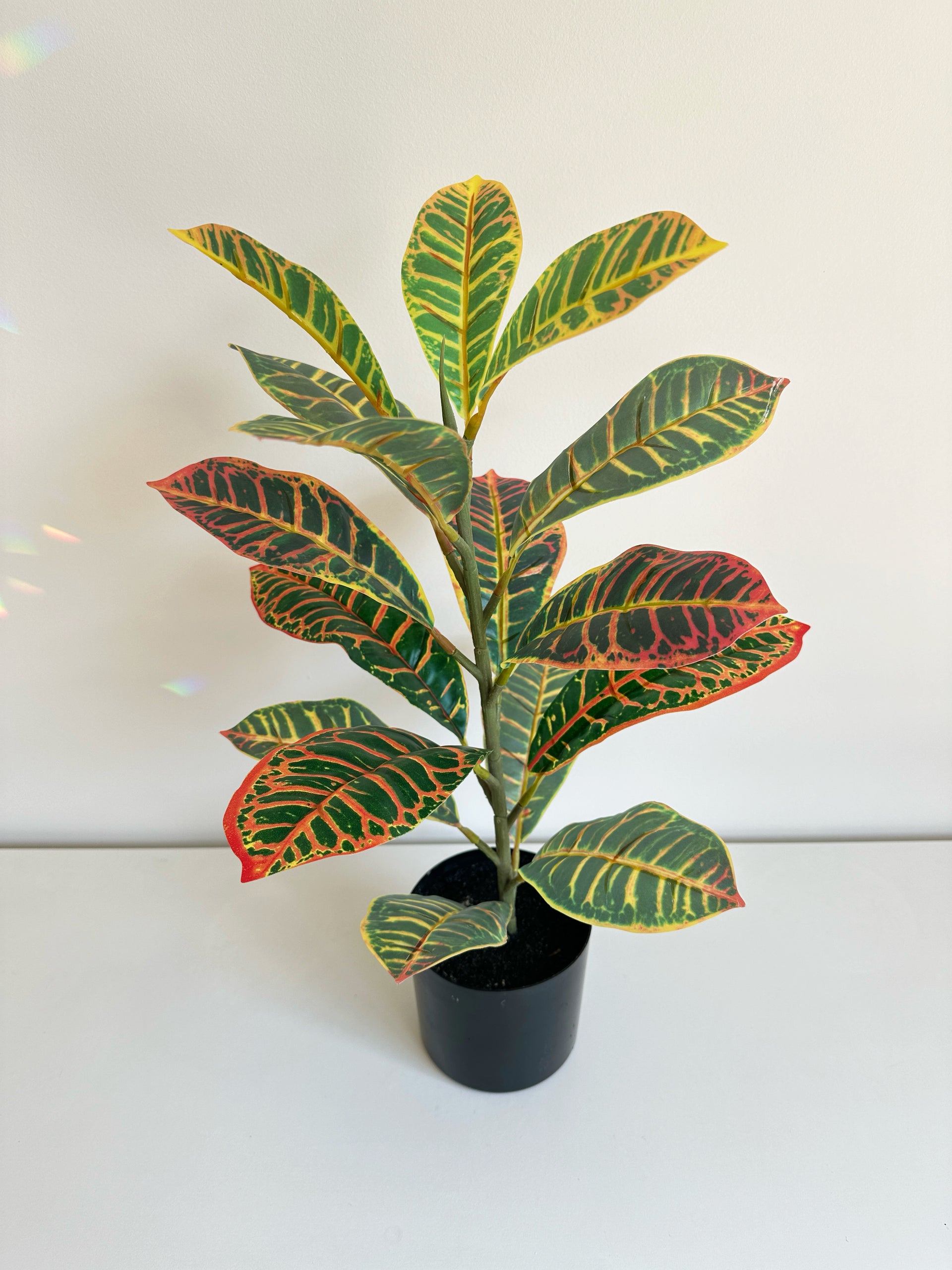 croton petra plant Faux Petra Croton Plant – The Floral Wave