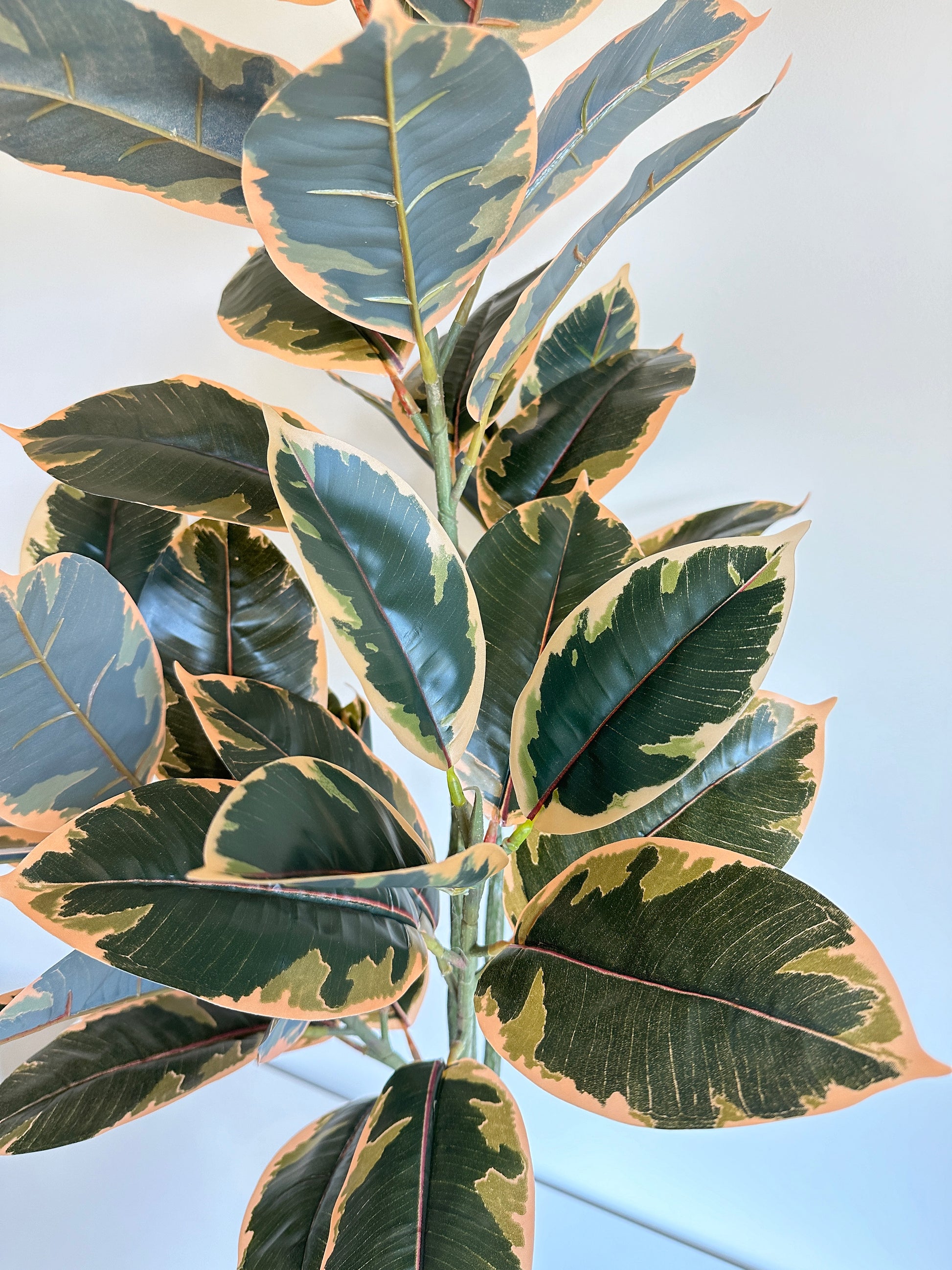 faux variegated rubber tree Artificial Rubber Tree in Pot Liner
