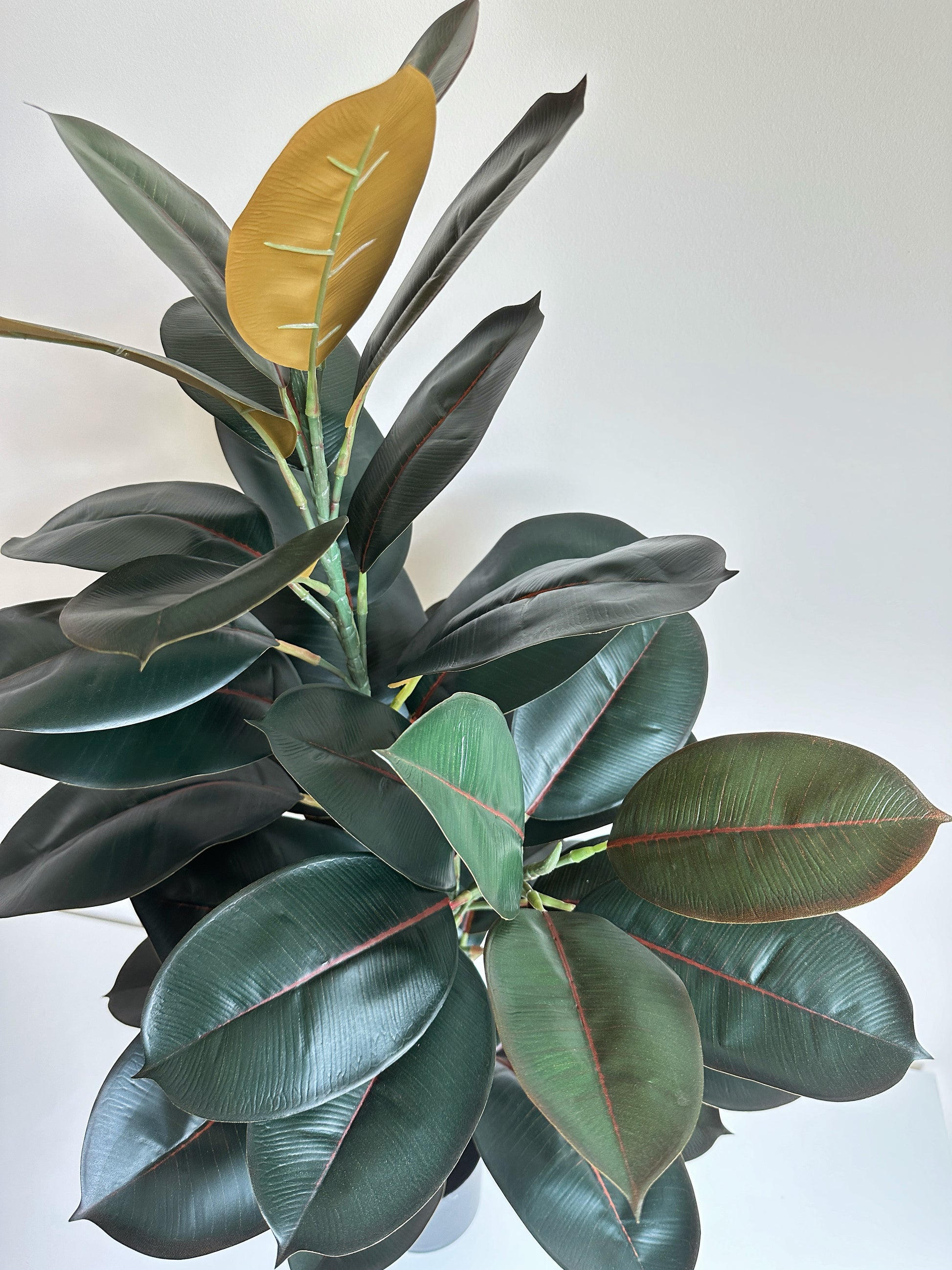 best faux rubber tree Artificial Rubber Tree in Pot Liner – The Floral Wave