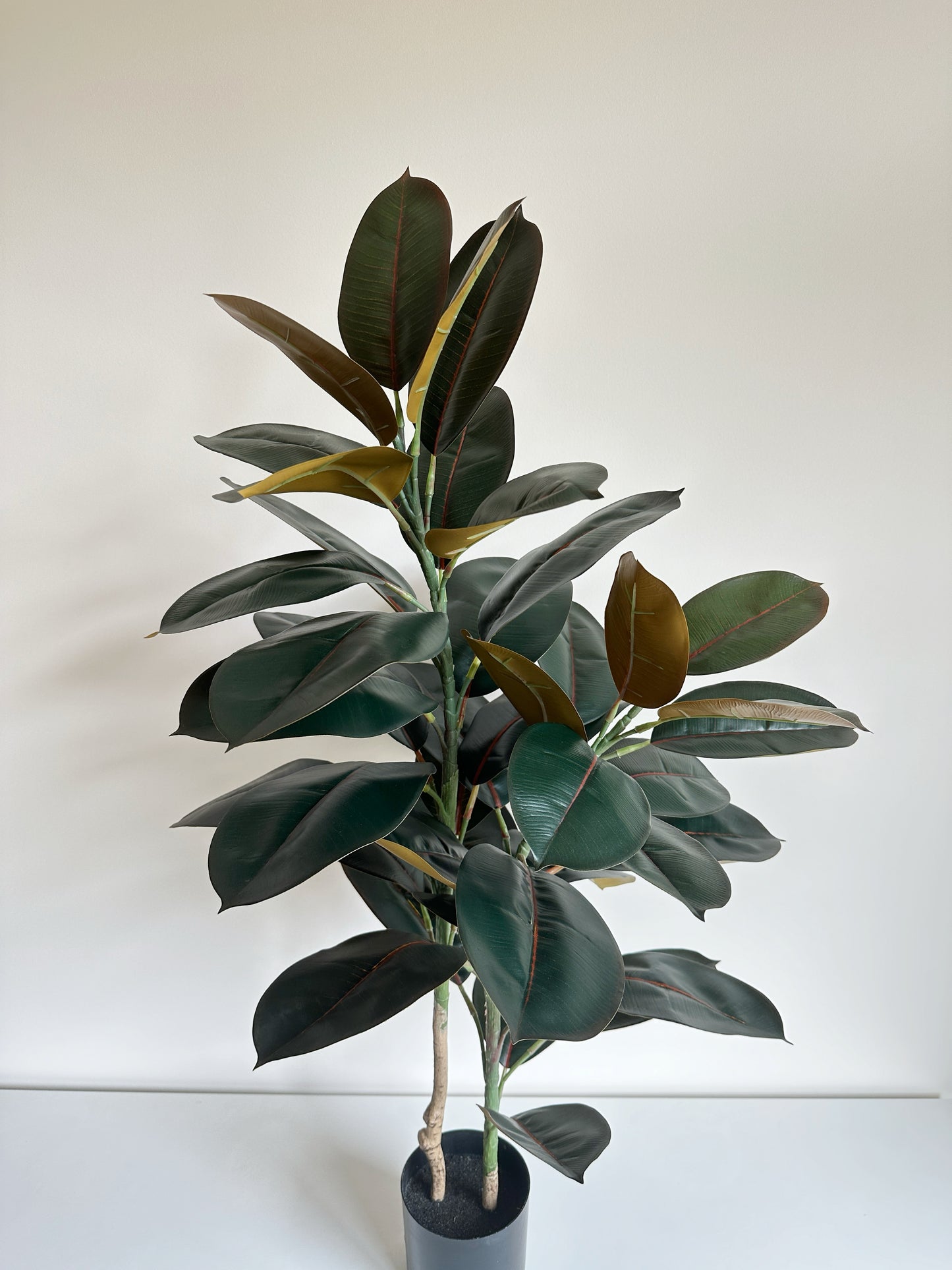 Artificial Rubber Tree in Pot Liner