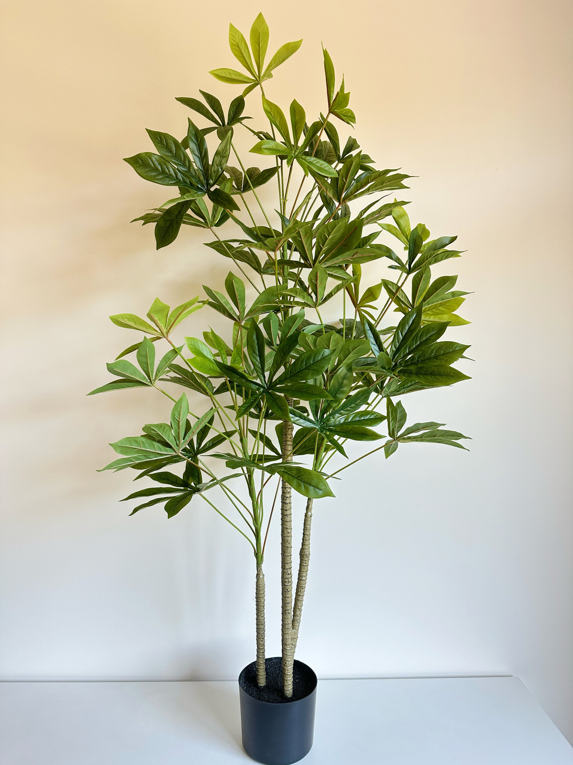 fake money tree plant Faux Money Tree – The Floral Wave