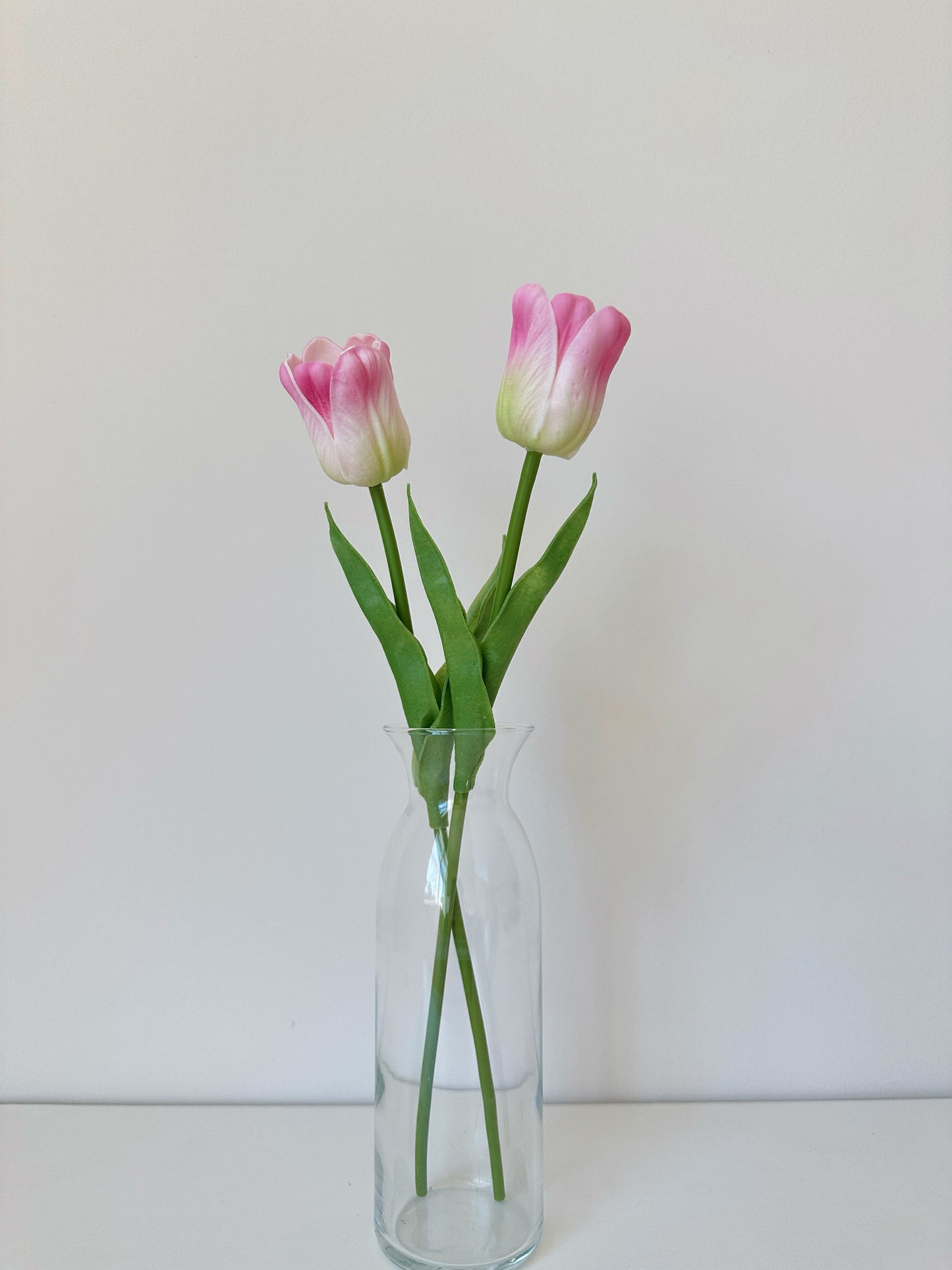 Wavy Petal Tulip, ruffled, curving petals