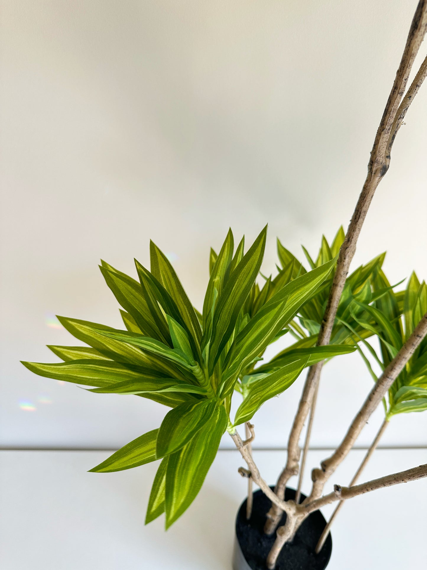 Artificial Dracaena