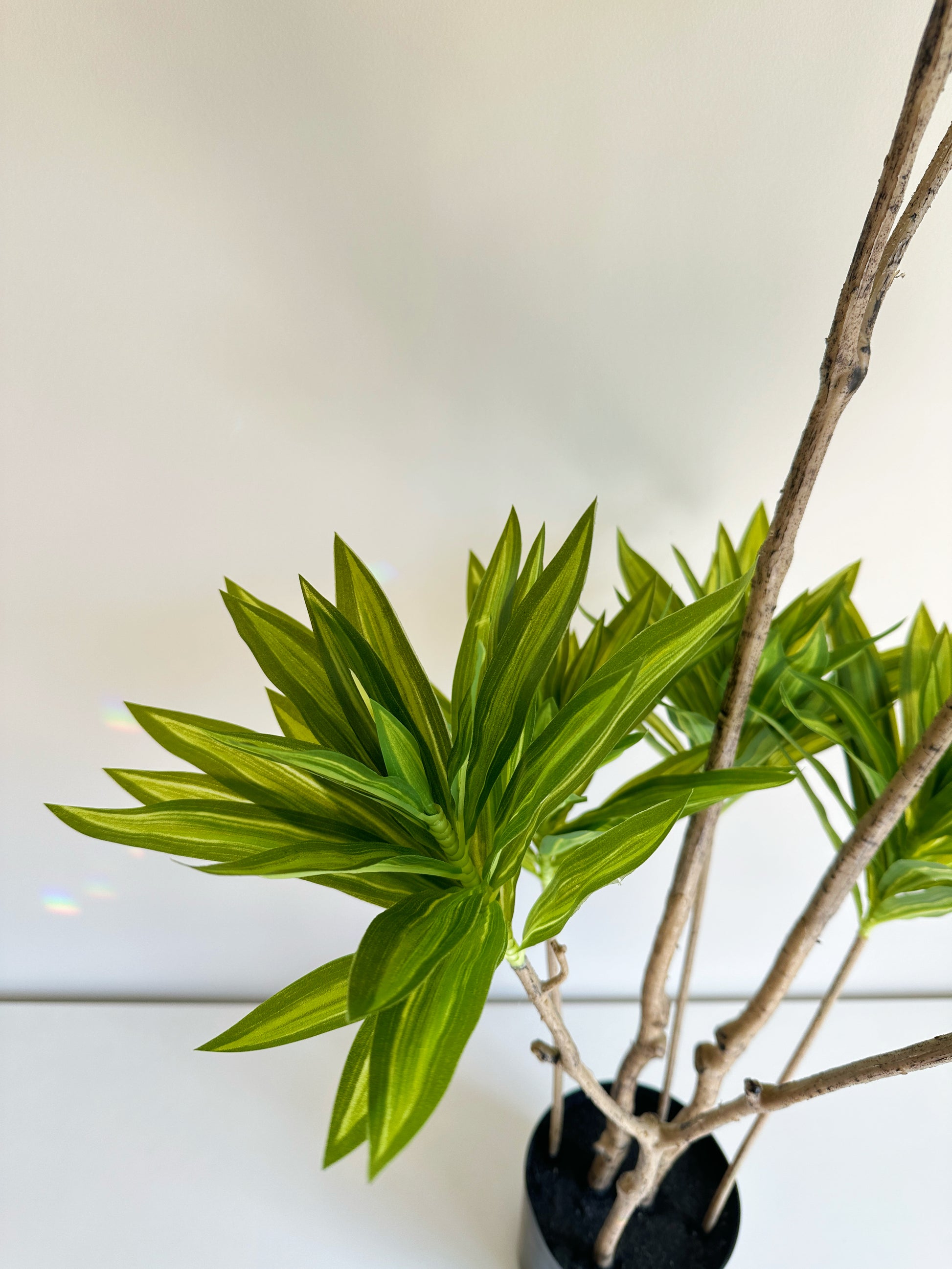 Artificial Dracaena