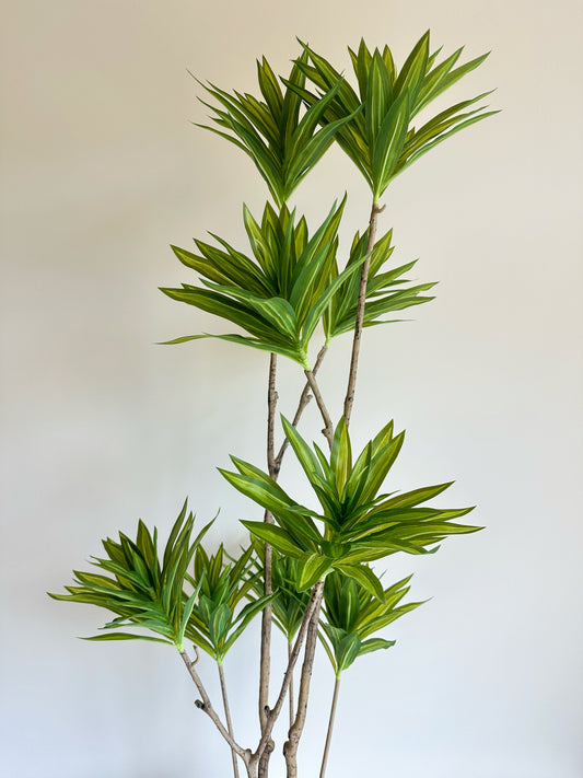 Artificial Dracaena