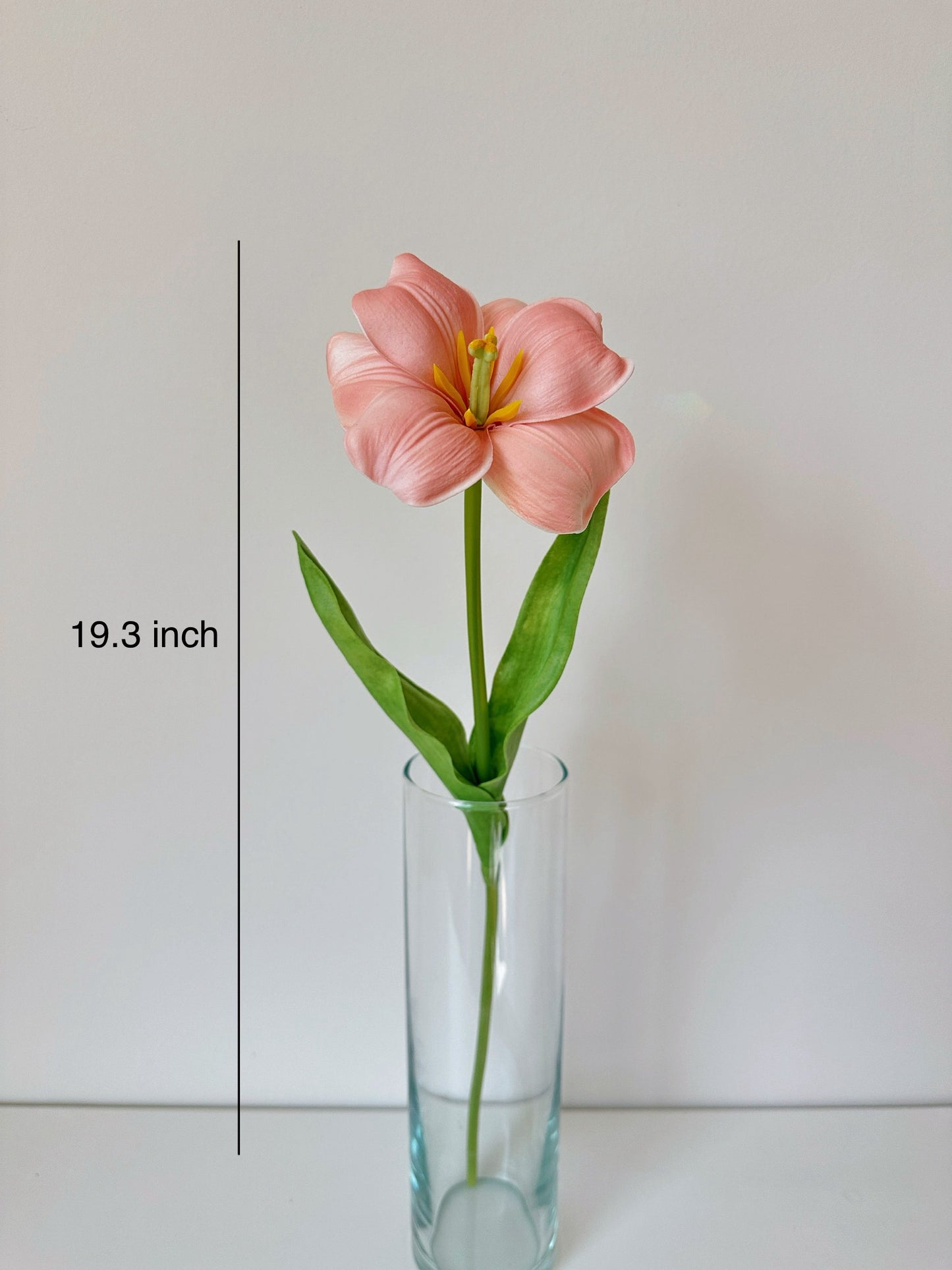 Long Stem Tulip With Wide Opened Petals (3 Stems)