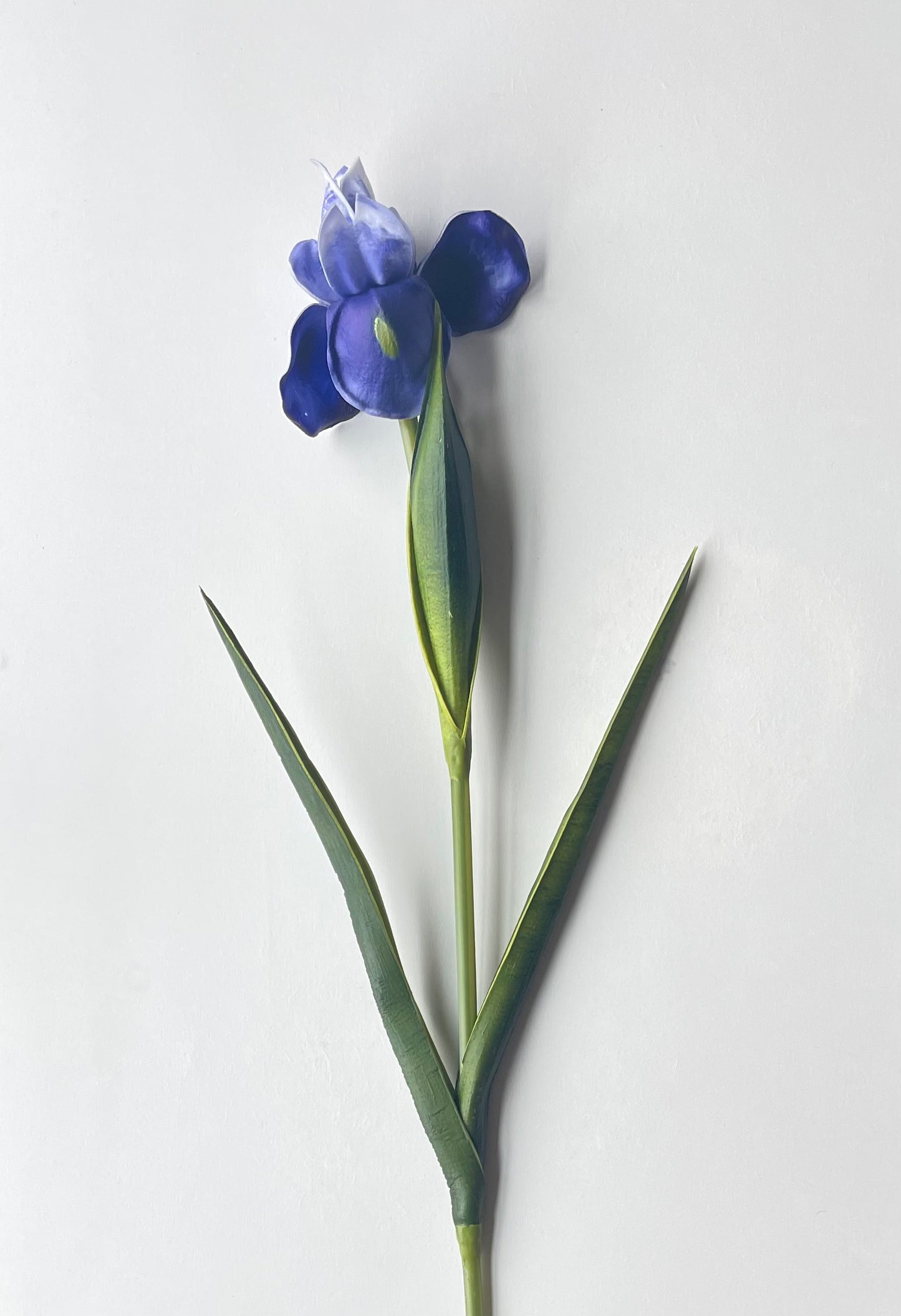 Long Stem Iris Real Touch Artificial Flower (3 Stems)