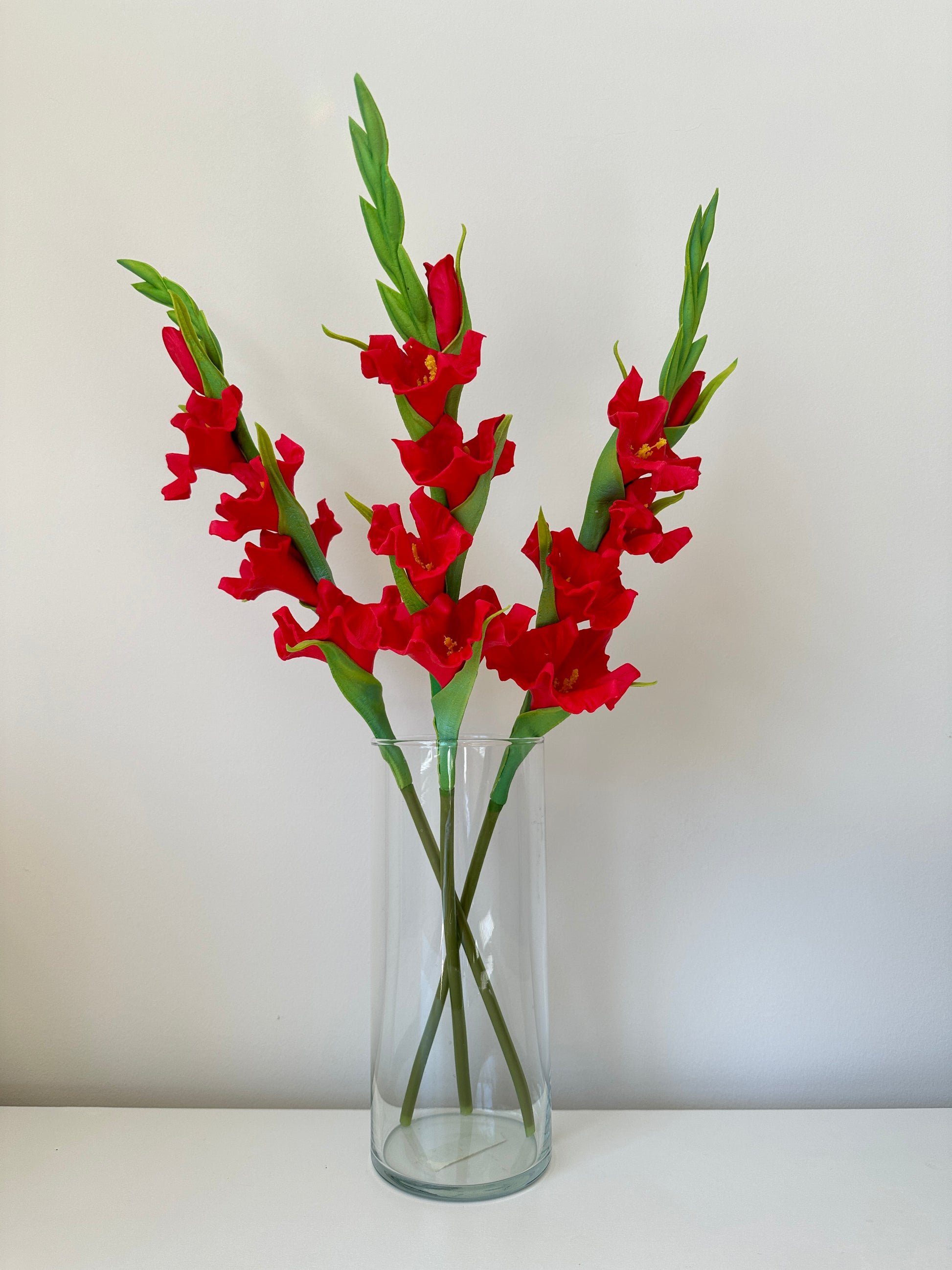 Gladiolus Flower (Sword Lily)