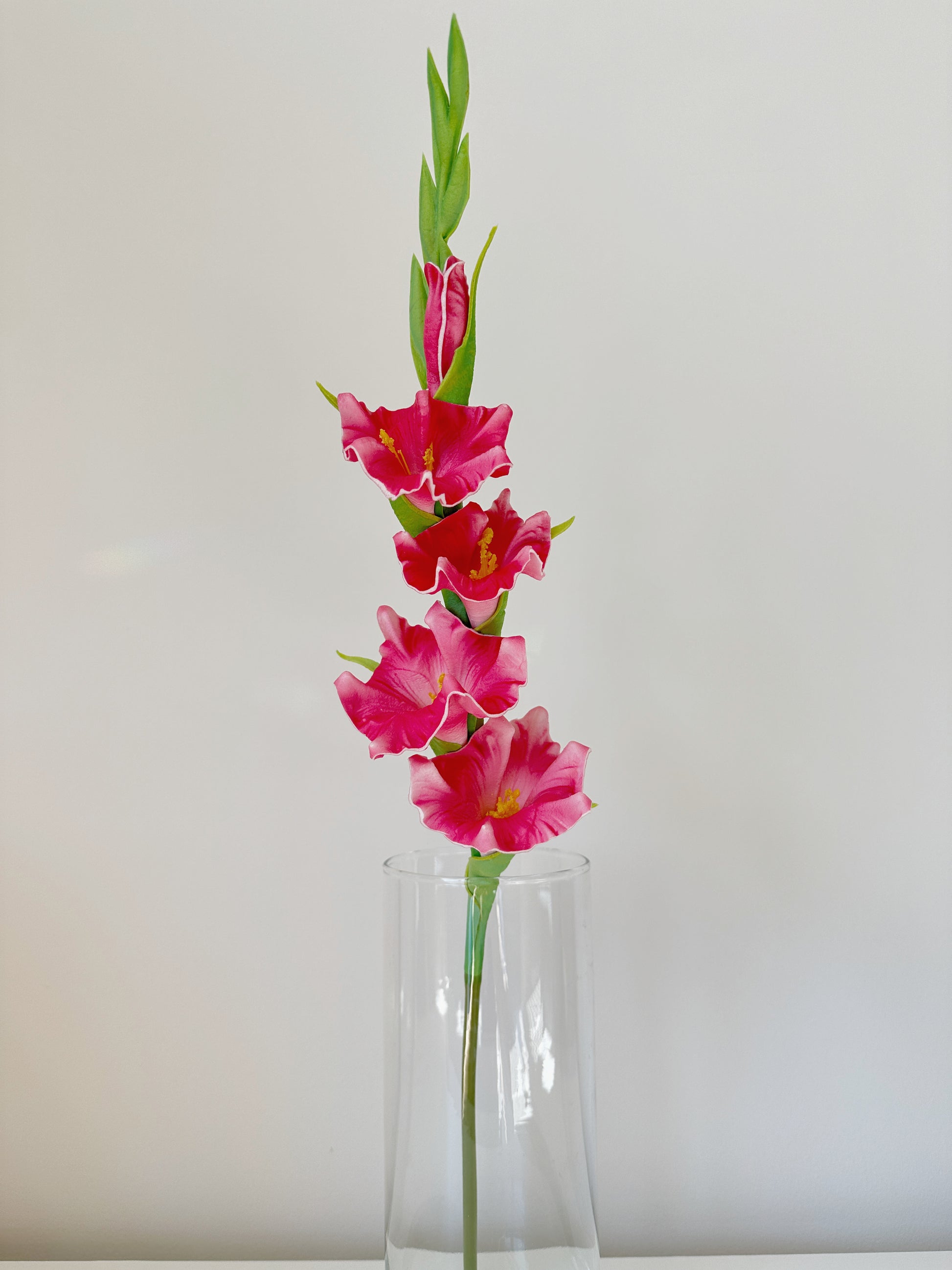 Gladiolus Flower (Sword Lily)