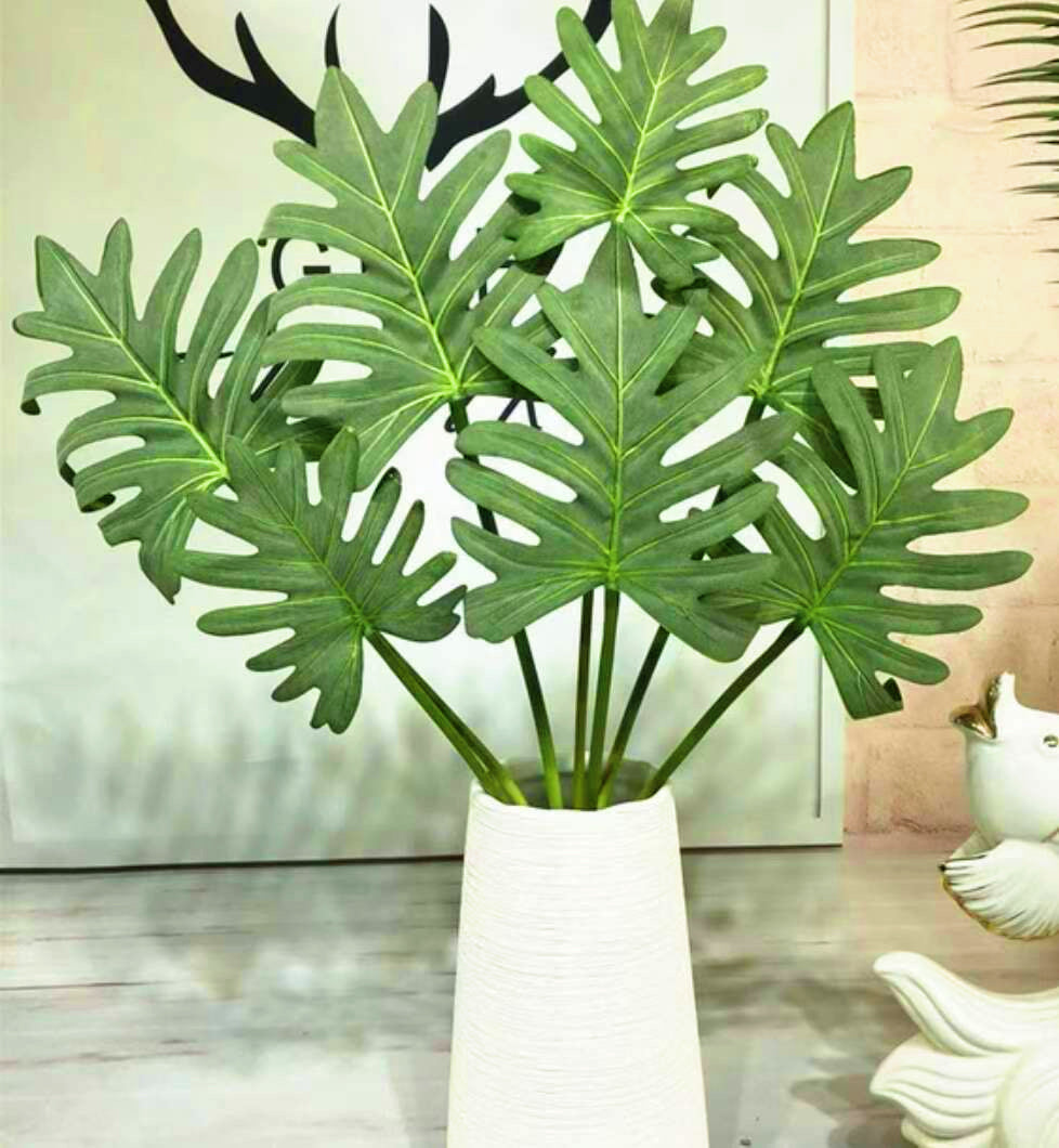 oval shaped split leaf philodendron Split Leaf Philodendron – The Floral Wave