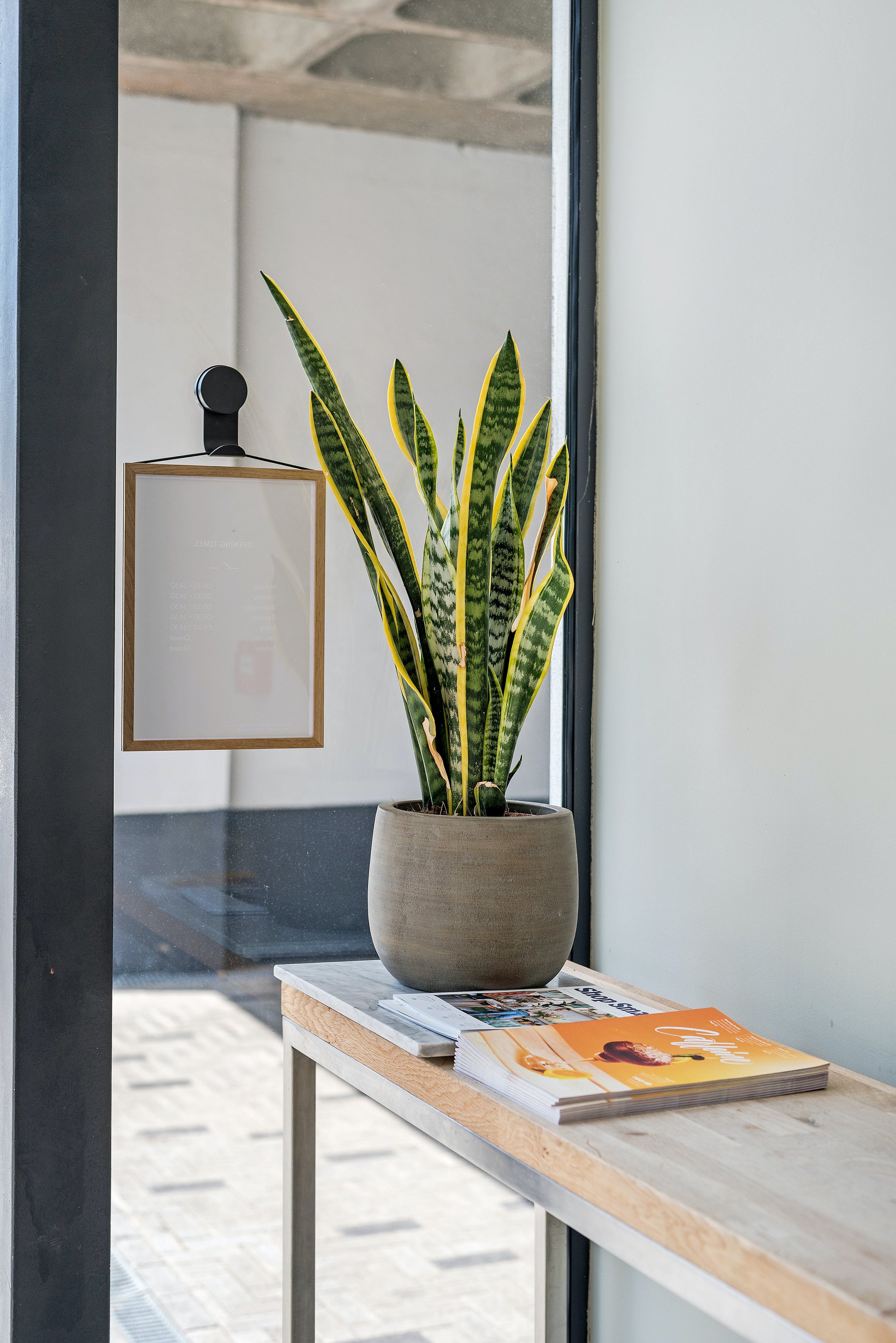 artificial sansevieria Artificial Sansevieria Snake Plant – The Floral Wave